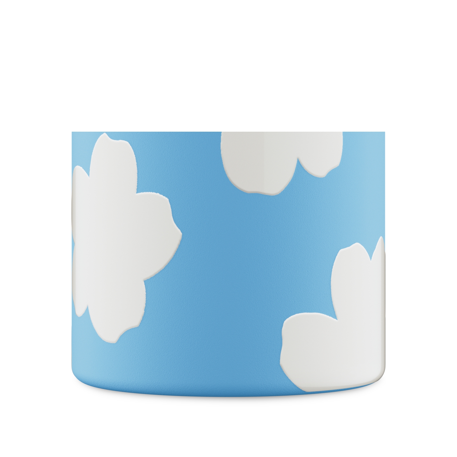 Spin Bottle Daydreaming - 730 ml