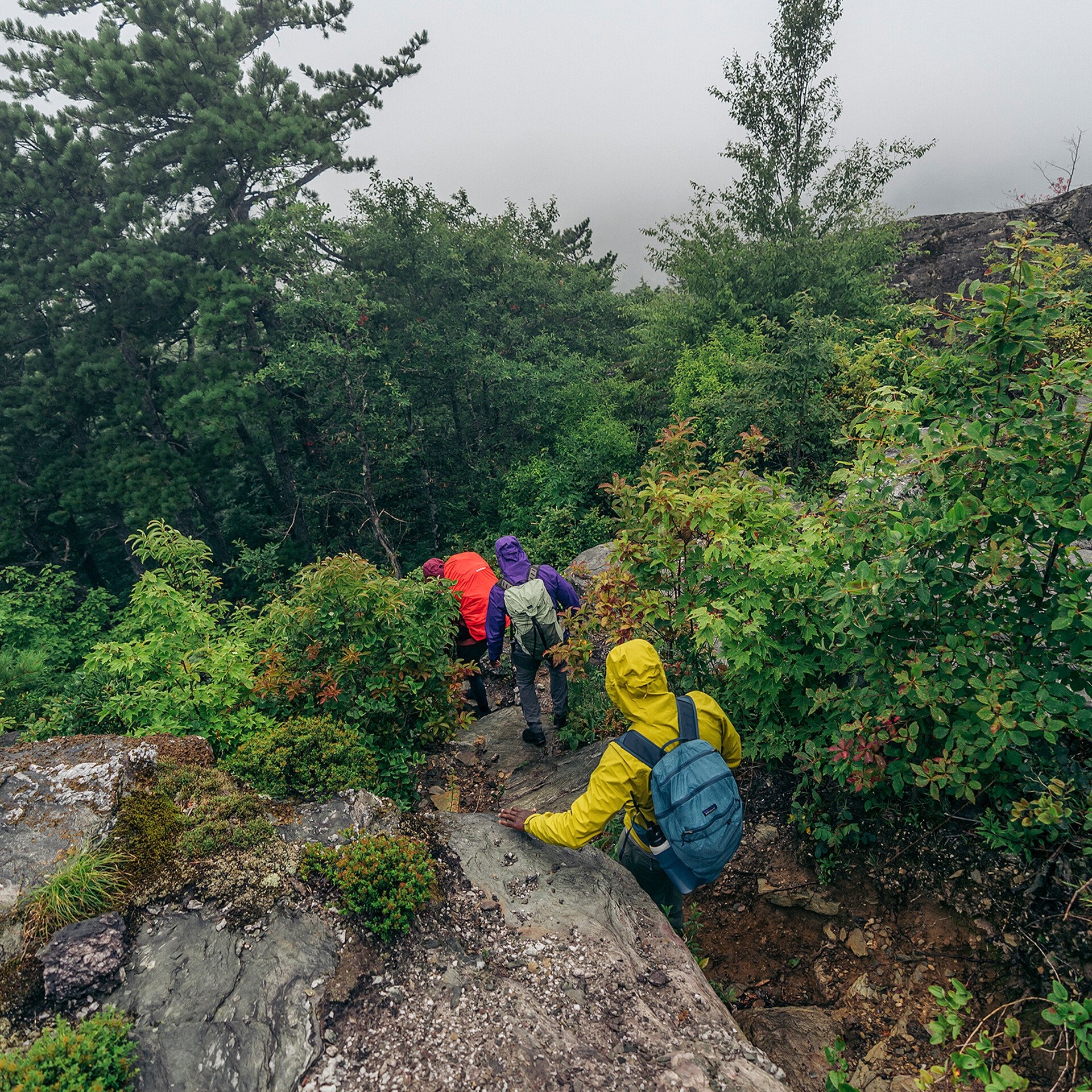 Men's Torrentshell 3L Rain Jacket