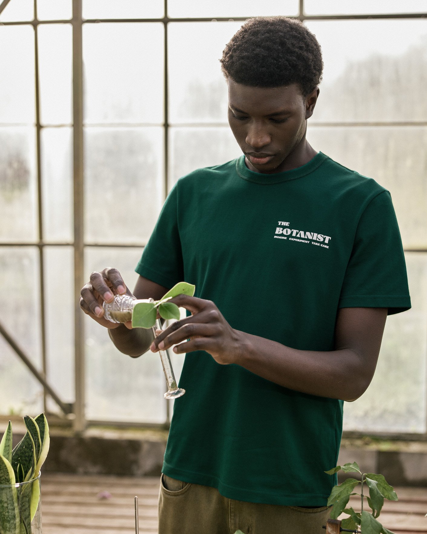 T-shirt vert sapin coton - LUGNY