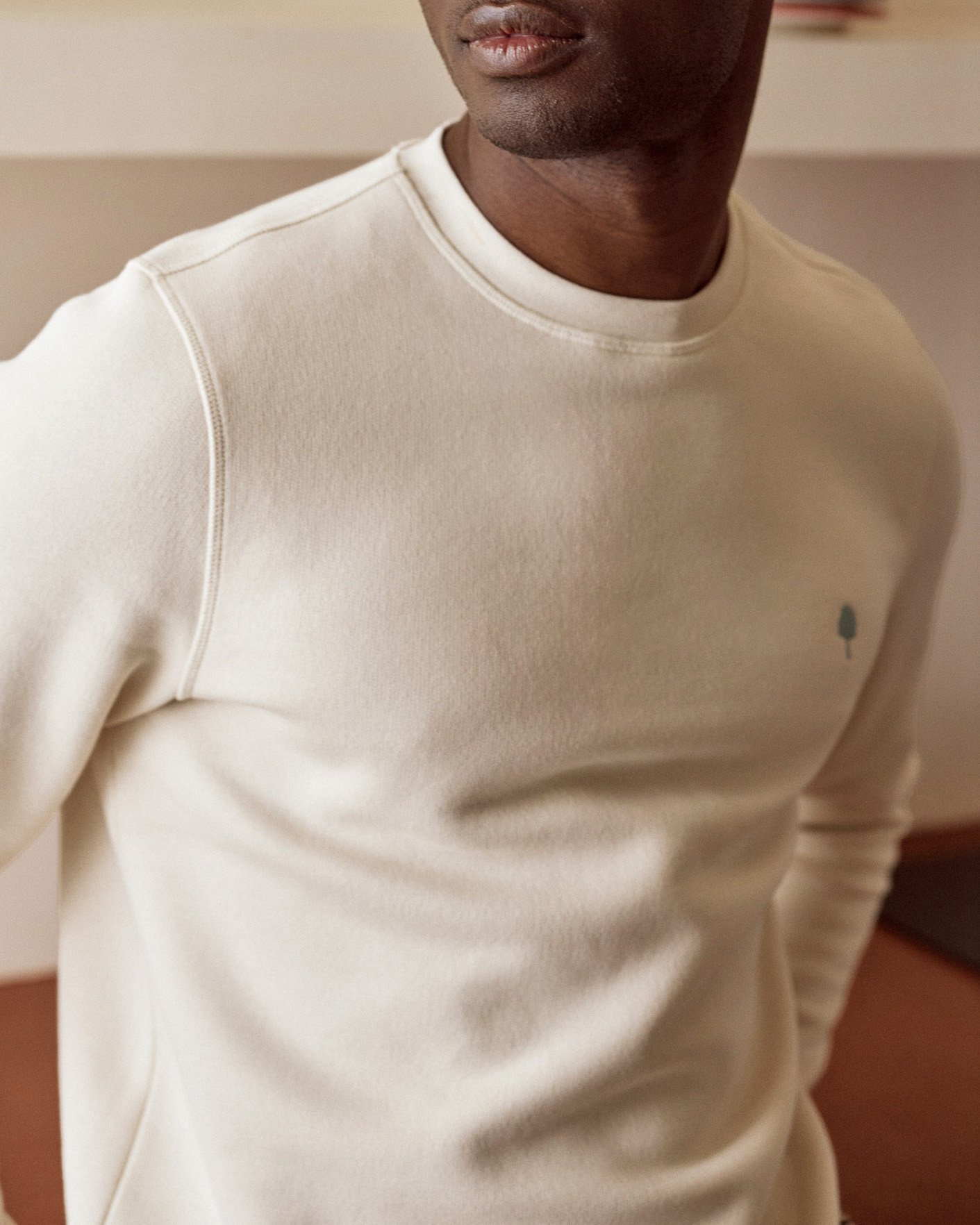 Sweat col rond beige foncé coton - DONZY