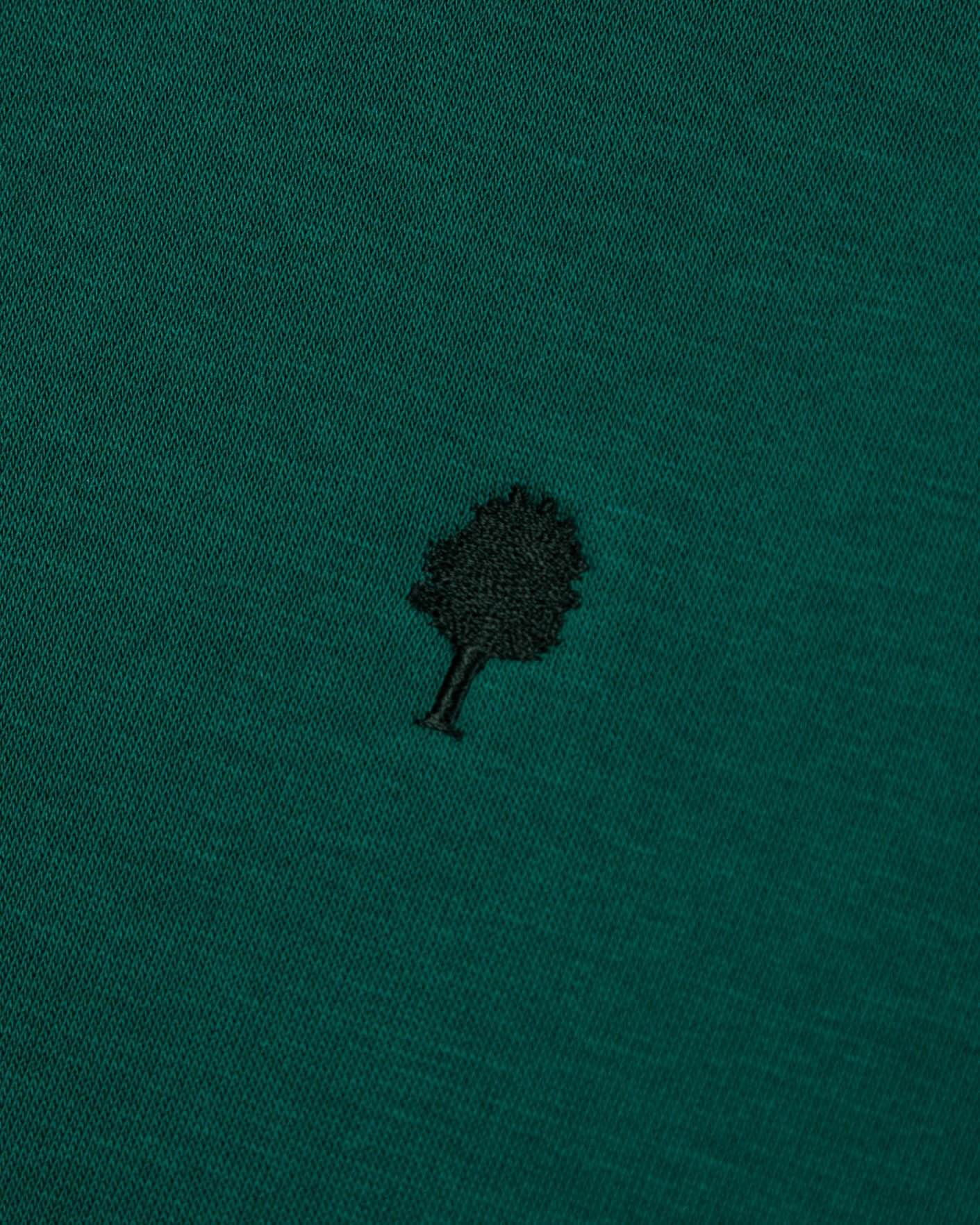 Sweat col rond vert sapin coton - DONZY