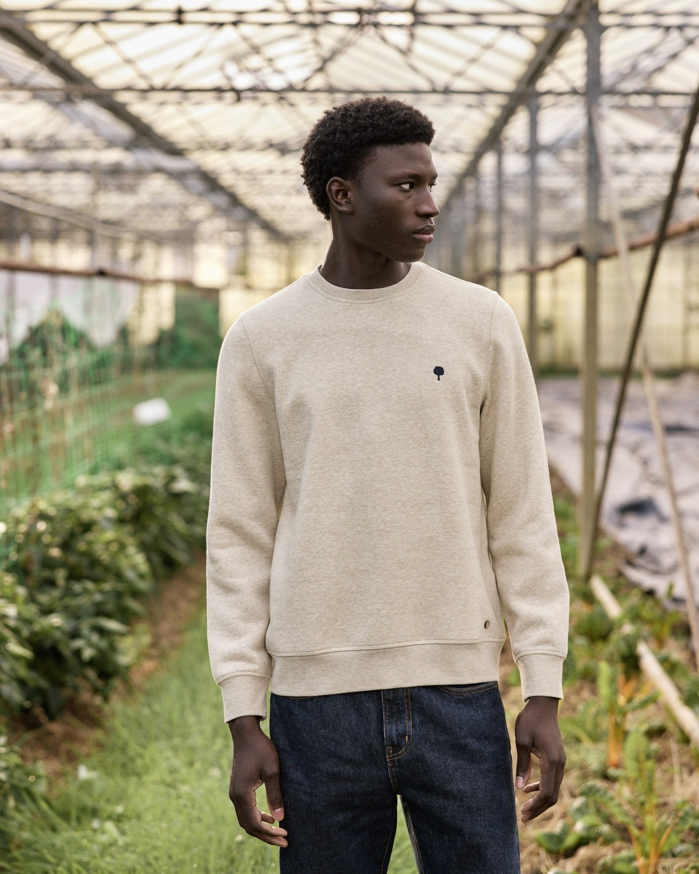 Sweat col rond beige chiné coton - DONZY