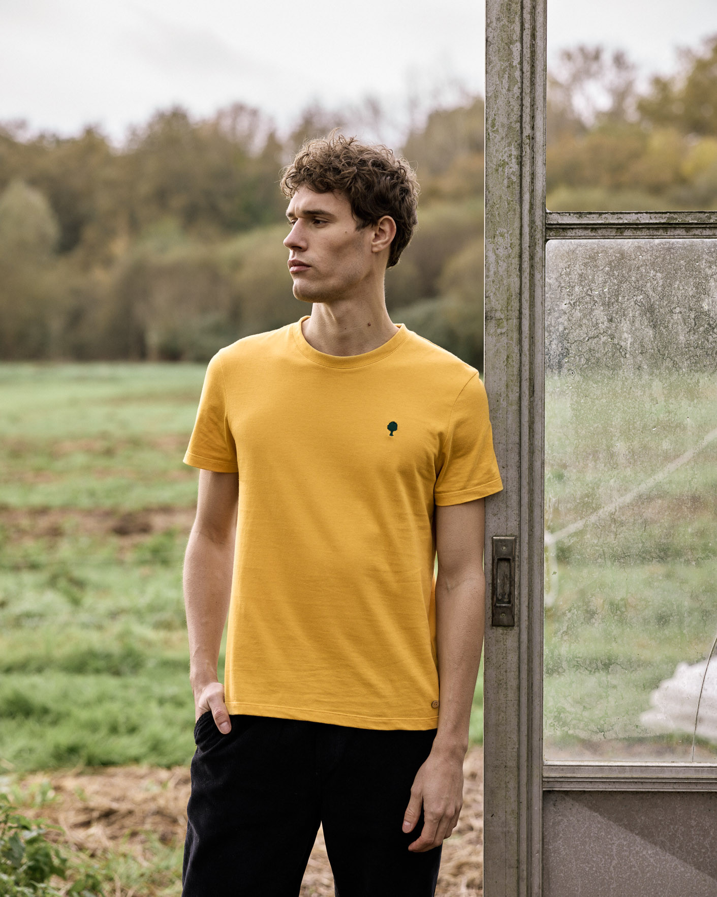 T-shirt ocre coton - ARCY