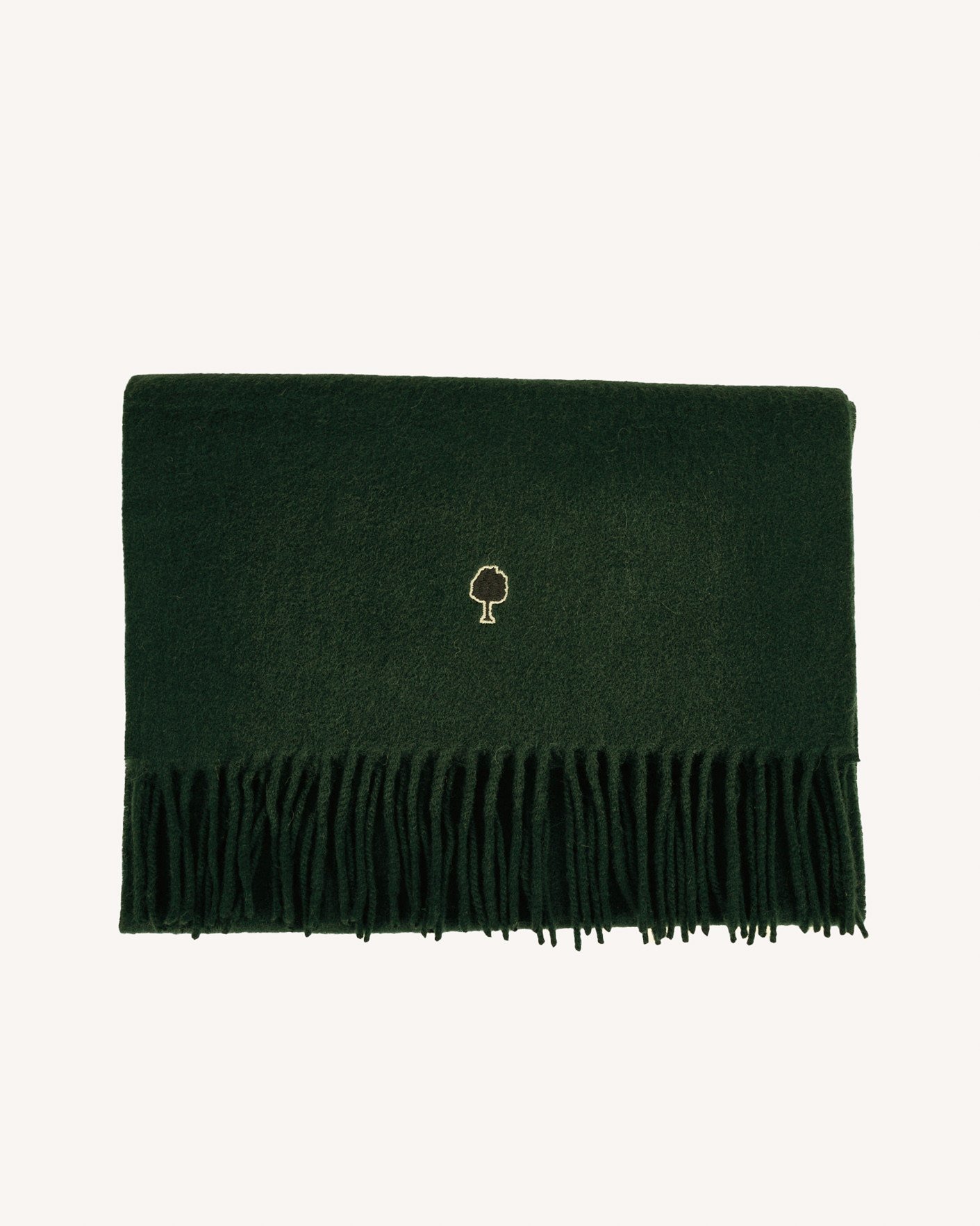 Echarpe laine et cachemire verte - SCARF