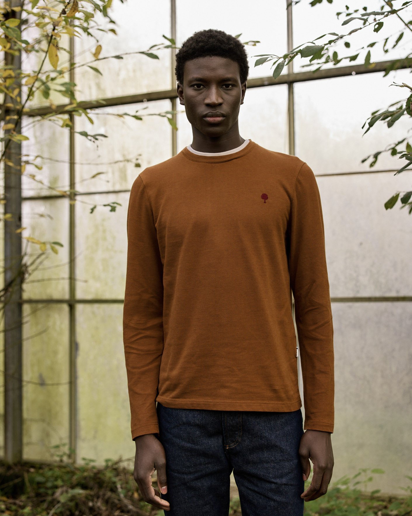 T-shirt manches longues rouille coton - BAILLY