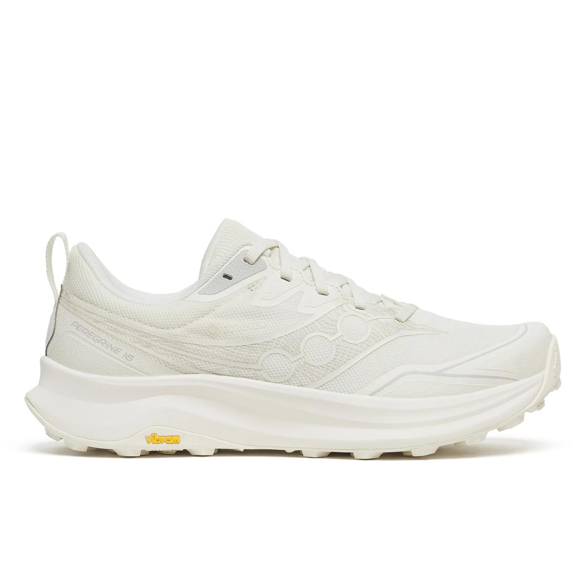 Homme Peregrine 16 GTX
