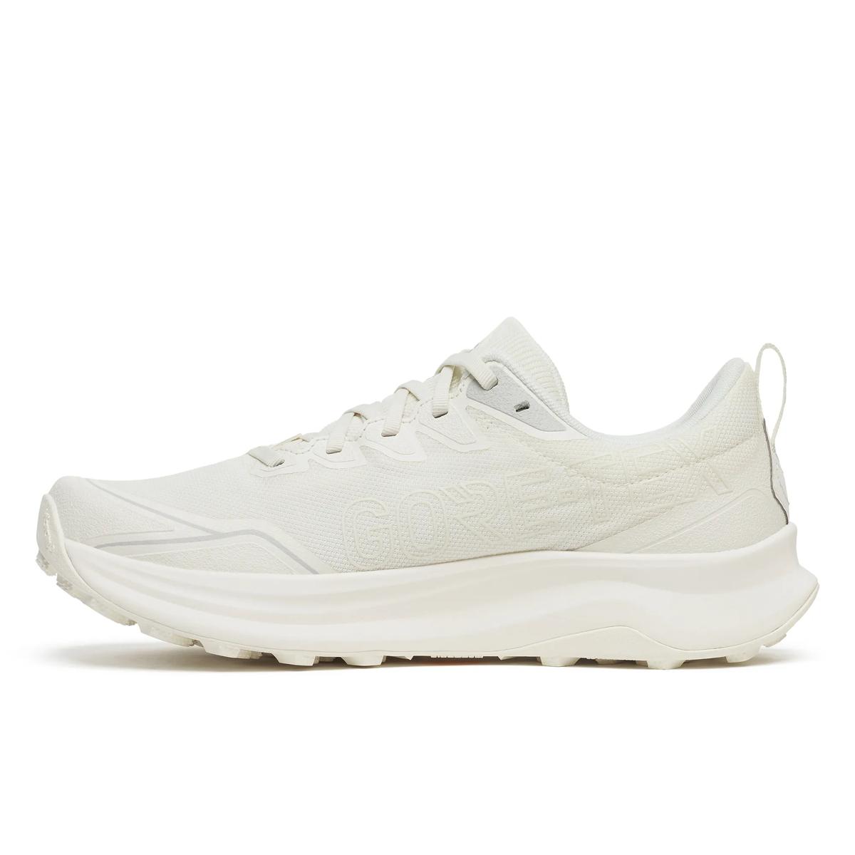 Homme Peregrine 16 GTX