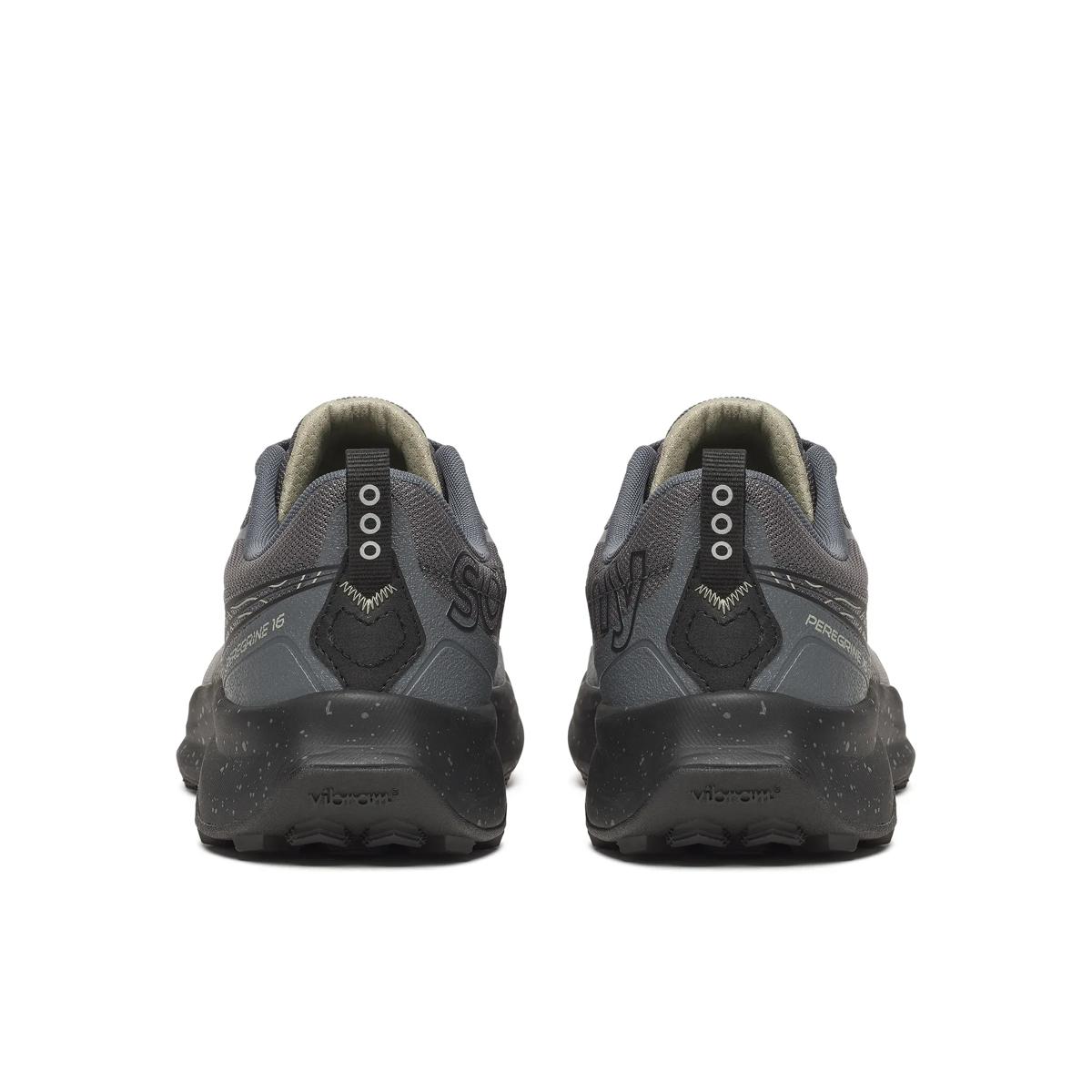 Homme Peregrine 16