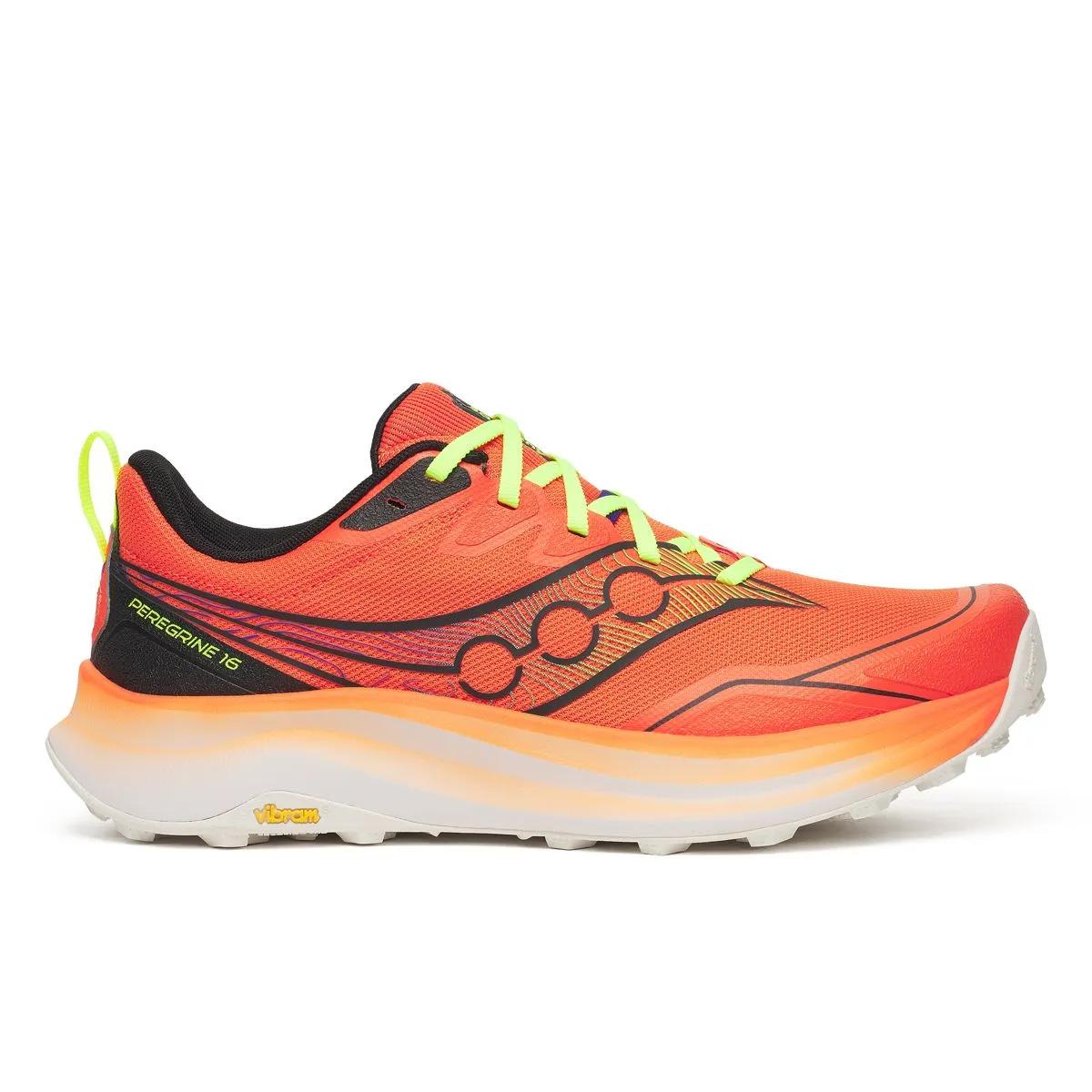 Homme Peregrine 16