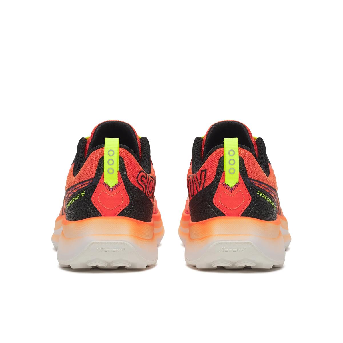 Homme Peregrine 16